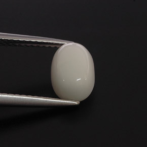 2.00캐럿 천연 하얀색 산호, 타원형 컷, 불투명체