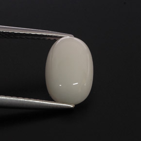 2.37캐럿 천연 화이트 산호, 타원형 컷, 10.9×7 mm, 불투명체
