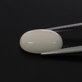 2.37캐럿 천연 화이트 산호, 타원형 컷, 10.9×7 mm, 불투명체