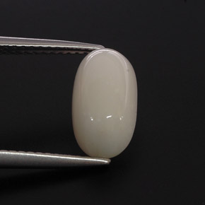 2.85캐럿 천연 화이트 산호, 타원형 컷, 11.7×6.4 mm, 불투명체