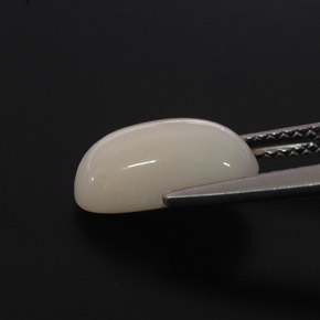 2.85캐럿 천연 화이트 산호, 타원형 컷, 11.7×6.4 mm, 불투명체