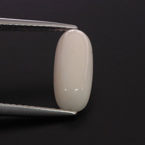 2.28캐럿 천연 화이트 산호, 타원형 컷, 12.6×5.4 mm, 불투명체