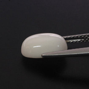 2.68캐럿 천연 화이트 산호, 타원형 컷, 10.6×7.1 mm, 불투명체