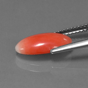 1.69캐럿 천연 연어 산호, 타원형 컷, 불투명체