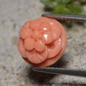 4.01캐럿 천연 살몬 산호, 플라워 컷, 10.5×6.5 mm, 불투명체