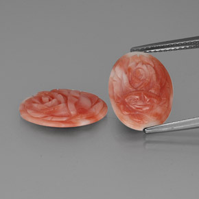 5.09캐럿 천연 바이컬러 산호 보석, 멋진 모양, 14.9×11 mm, 불투명체