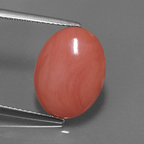 4.97캐럿 천연 살몬 산호, 타원형 컷, 15.9×12 mm, 불투명체