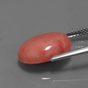 4.53캐럿 천연 연어 산호, 타원형 컷, 불투명체