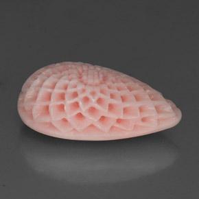 18.16캐럿 천연 라이트 핑크 산호, 멋진 모양, 24.6×13.7 mm, 불투명체