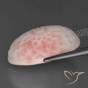15.19캐럿 천연 플라밍고 핑크 산호, 멋진 모양, 20.5×13.4 mm, 불투명체