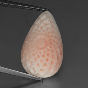 19.21캐럿 천연 살몬 화이트 산호, 멋진 모양, 24.4×14.6 mm, 불투명체