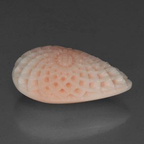 19.21캐럿 천연 살몬 화이트 산호, 멋진 모양, 24.4×14.6 mm, 불투명체