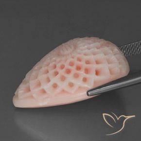 28.43캐럿 천연 블러셔 핑크 산호, 멋진 모양, 불투명체