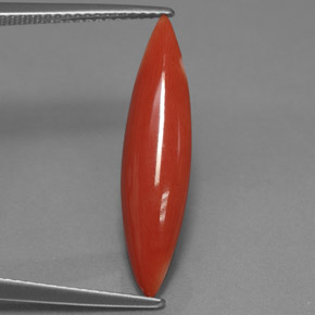 2.45캐럿 천연 화이트 살몬 산호, 마퀴즈, 24.4×6.1 mm, 불투명체