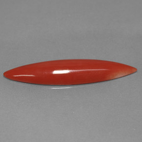 2.45캐럿 천연 화이트 살몬 산호, 마퀴즈, 24.4×6.1 mm, 불투명체