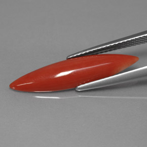 2.45캐럿 천연 화이트 살몬 산호, 마퀴즈, 24.4×6.1 mm, 불투명체