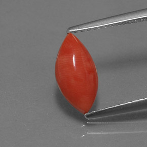 1.23캐럿 천연 화이트 살몬 산호, 마퀴즈, 11×5.7 mm, 불투명체