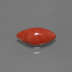 1.23캐럿 천연 화이트 살몬 산호, 마퀴즈, 11×5.7 mm, 불투명체