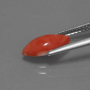1.23캐럿 천연 화이트 살몬 산호, 마퀴즈, 11×5.7 mm, 불투명체