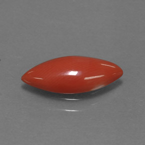 1.18캐럿 천연 화이트 살몬 산호, 마퀴즈, 12.7×5.4 mm, 불투명체