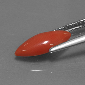 1.18캐럿 천연 화이트 살몬 산호, 마퀴즈, 12.7×5.4 mm, 불투명체