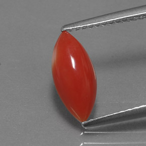 1.30캐럿 천연 화이트 살몬 산호, 마퀴즈, 11.9×5.4 mm, 불투명체