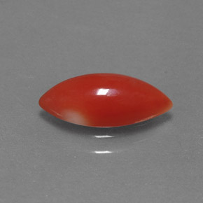 1.30캐럿 천연 화이트 살몬 산호, 마퀴즈, 11.9×5.4 mm, 불투명체