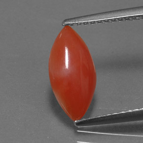 1.16캐럿 천연 화이트 살몬 산호, 마퀴즈, 12×6 mm, 불투명체