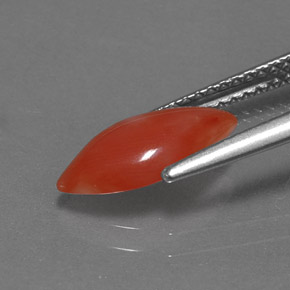 1.16캐럿 천연 화이트 살몬 산호, 마퀴즈, 12×6 mm, 불투명체