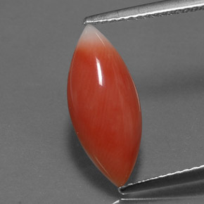 2.56캐럿 천연 화이트 살몬 산호, 마퀴즈, 16.3×7.2 mm, 불투명체