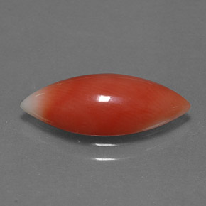 2.56캐럿 천연 화이트 살몬 산호, 마퀴즈, 16.3×7.2 mm, 불투명체