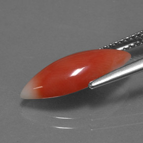 2.56캐럿 천연 화이트 살몬 산호, 마퀴즈, 16.3×7.2 mm, 불투명체