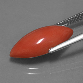 4.46캐럿 천연 흰 연어 산호, 보석, 불투명체