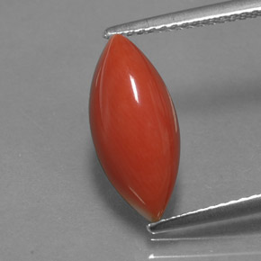 3.54캐럿 천연 화이트 살몬 산호, 마퀴즈, 15.1×6.7 mm, 불투명체