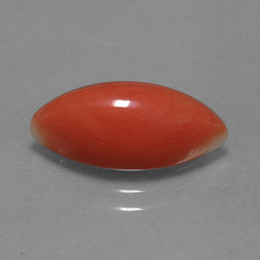 3.54캐럿 천연 화이트 살몬 산호, 마퀴즈, 15.1×6.7 mm, 불투명체