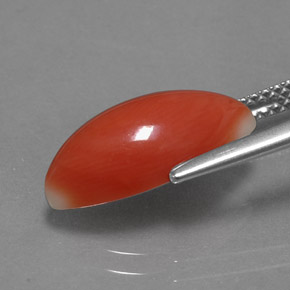 3.54캐럿 천연 화이트 살몬 산호, 마퀴즈, 15.1×6.7 mm, 불투명체