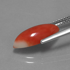 2.34캐럿 천연 흰 연어 산호, 보석, 불투명체