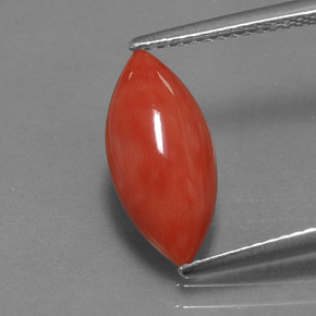 2.03캐럿 천연 화이트 살몬 산호, 마퀴즈, 14.6×6.9 mm, 불투명체