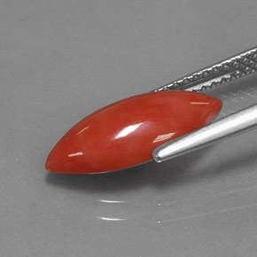 2.03캐럿 천연 화이트 살몬 산호, 마퀴즈, 14.6×6.9 mm, 불투명체