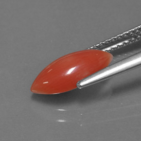 1.27캐럿 천연 흰 연어 산호, 보석, 불투명체