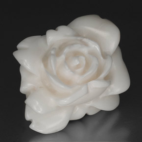 27.83캐럿 천연 하얀색 산호, 멋진 모양, 불투명체