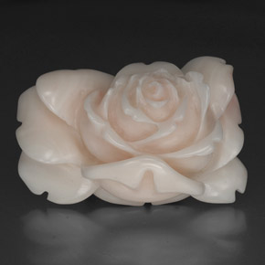 40.97캐럿 천연 연어 화이트 산호, 멋진 모양, 불투명체