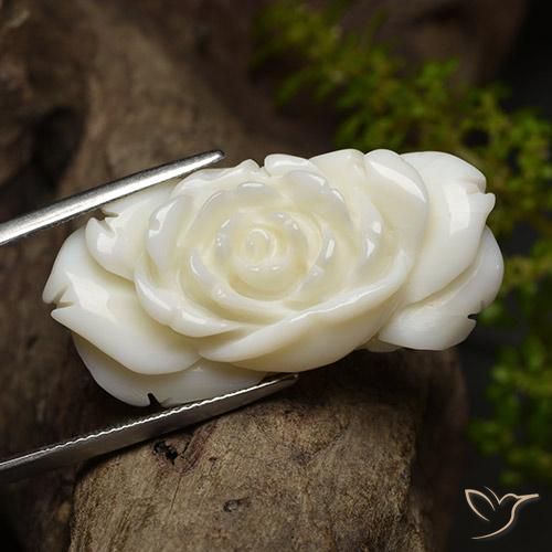 36.24캐럿 천연 밝은 흰색 산호, 플라워 컷, 불투명체