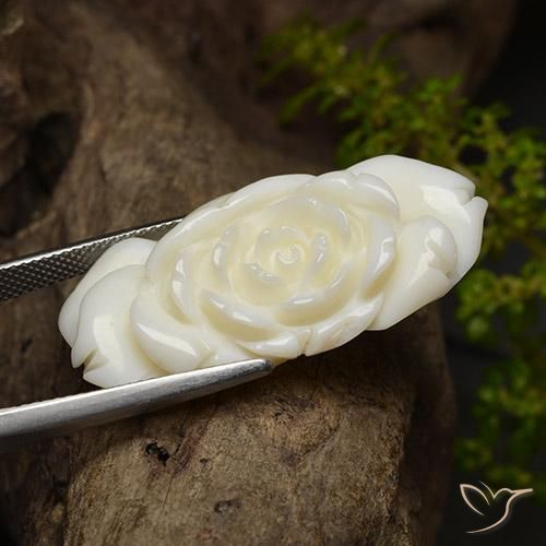 36.24캐럿 천연 밝은 흰색 산호, 플라워 컷, 불투명체