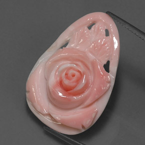 12.52캐럿 천연 핑크 산호, 멋진 모양, 29.5×20.1 mm, 불투명체