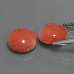 캐럿 천연 흰 연어 산호 보석, 라운드 컷, 불투명체