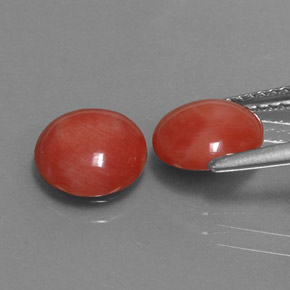 캐럿 천연 화이트 살몬 산호 보석, 라운드 컷, 8.06 mm, 불투명체