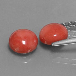 캐럿 천연 흰 연어 산호 보석, 라운드 컷, 불투명체