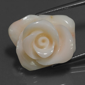 18.54캐럿 천연 크림 산호, 멋진 모양, 20.1×16.4 mm, 불투명체