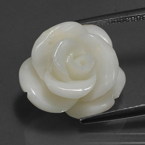 9.54캐럿 천연 화이트 산호, 멋진 모양, 15.6×14.5 mm, 불투명체